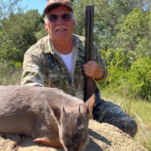 Blue Duiker Hunt Eastern Cape South Africa