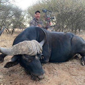 Buffalo Bow Hunting South Africa