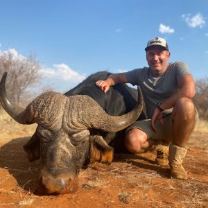 Buffalo Hunt South Africa