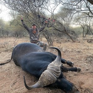 Buffalo Hunt South Africa