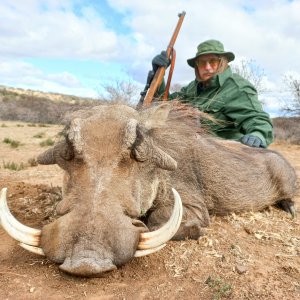 Warthog Hunt South Africa