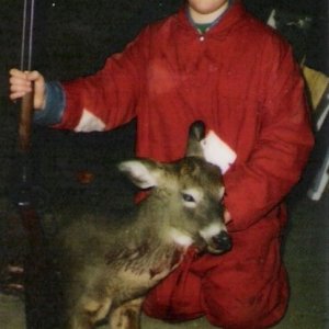 1981 Whitetail Hunting