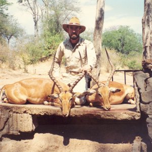 Impala Hunting