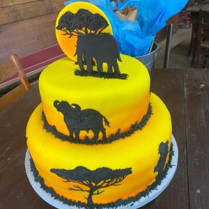 African Themed Groom’s Cake