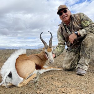 Springbok Hunt Eastern Cape South Africa