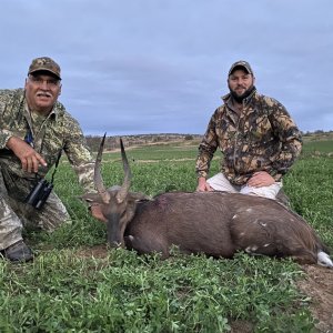 Bushbuck Hunt Eastern Cape South Africa