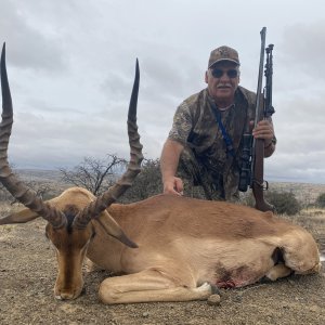 Impala Hunt Eastern Cape South Africa