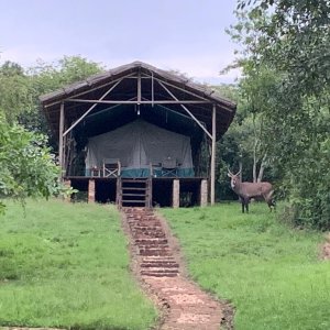 Tented Accommodation