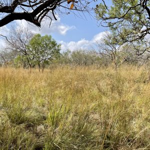 Scenery Selous Game Reserve Tanzania