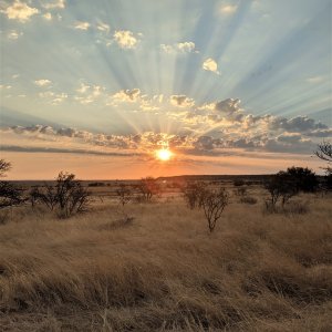 Sunset Free State South Africa