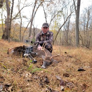 Whitetail Bow Hunt