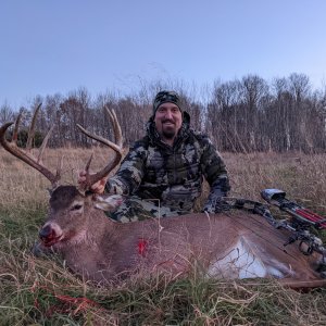 Whitetail Deer Bowhunt Canada