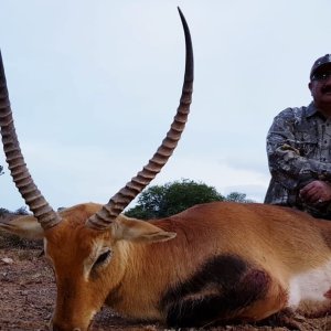 Lechwe Hunting Eastern Cape South Africa