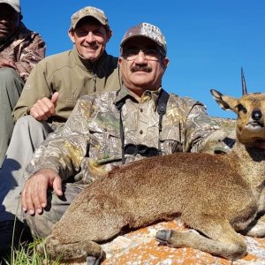 Klipspringer Hunting Eastern Cape South Africa