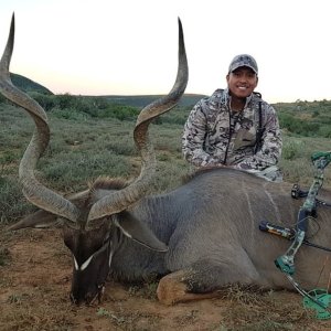 Kudu Hunting Eastern Cape South Africa