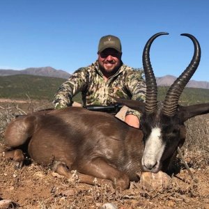 Black Springbok Hunting Eastern Cape South Africa