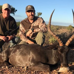 Black Impala Hunting Eastern Cape South Africa