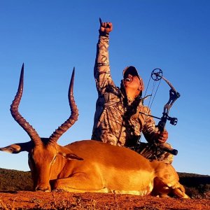 Impala Bowhunting Hunting Eastern Cape South Africa