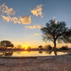Waterhole Kalahari South Africa