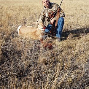 Pronghorn Hunting