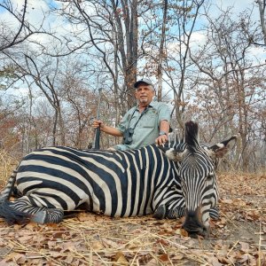 Zebra Hunt Namibia