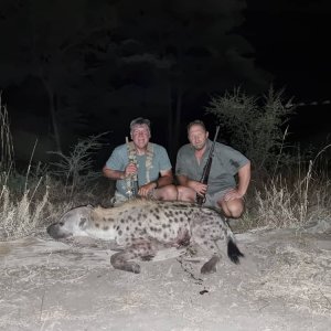 Spotted Hyena Hunting Namibia