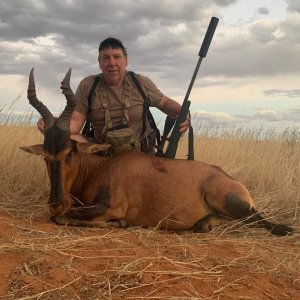 Red Hartebeest Hunting Namibia