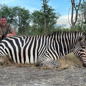 Zebra Hunting Namibia