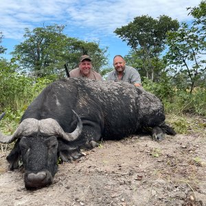 Buffalo Hunting Namibia