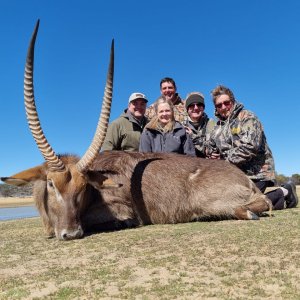 Waterbuck Hunting South Africa