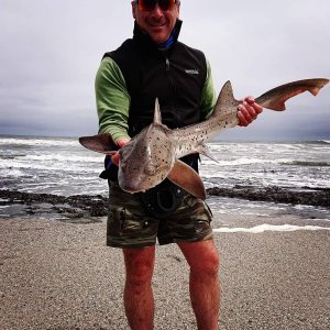 Shark Fishing Namibia