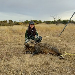 Texas Hog Hunting