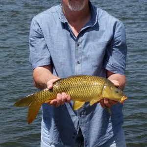 Carp Fishing Oklahoma