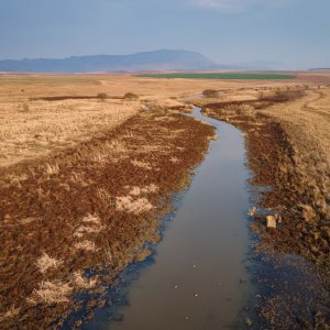 ''Birds-eye view'', South Africa Wing shooting