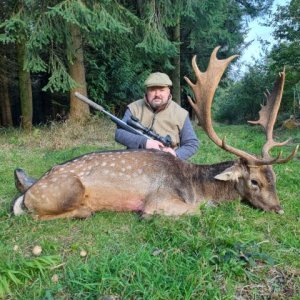 Fallow Deer Hunt United Kingdom