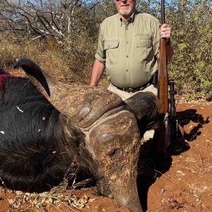 Buffalo Hunting South Africa