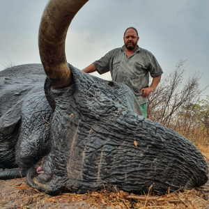 Elephant Hunting Namibia