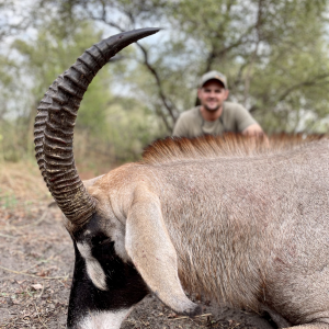 Roan Hunting Namibia