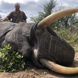 Elephant Hunting Namibia