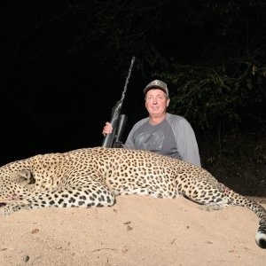 Leopard Hunting Kwalata Safaris