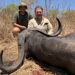 Kwalata Safaris Cape Buffalo Mozambique