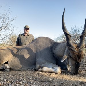 Livingston Eland hunting Kwalata safaris Mozambique, 2021