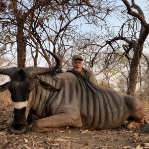 Niassa wildebeest hunting Kwalata safaris, Mozambique 2021