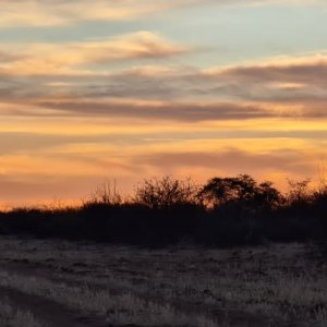 Sunset Bushmanland Namibia