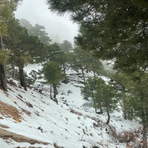 Snow Covered Slopes Spain