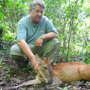 Bow Hunting Weyn's Duiker Central African Republic C.A.R.