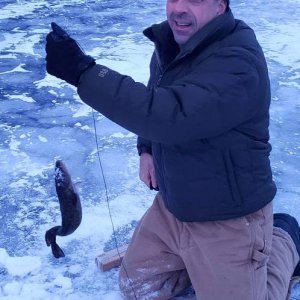 Lake Trout And Burbot Fishing