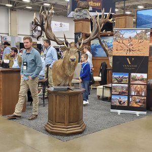 Red Stag Pedestal Mount Taxidermy