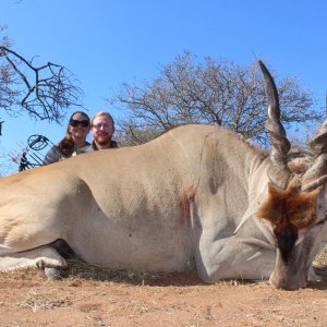 Eland Bowhunting South Africa