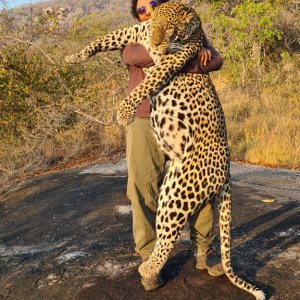 Leopard Hunting Tanzania